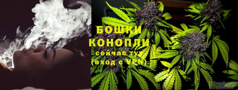 цена наркотик  Лесной  Конопля White Widow 